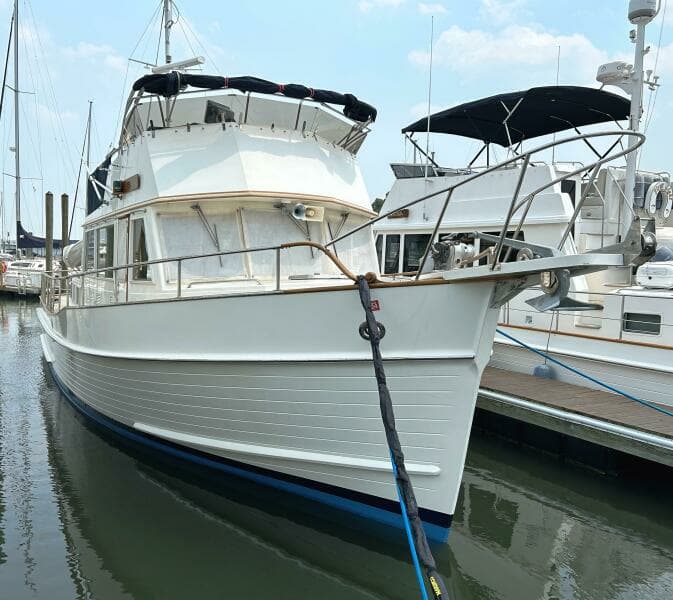 EASY RIDER (June, 2023)