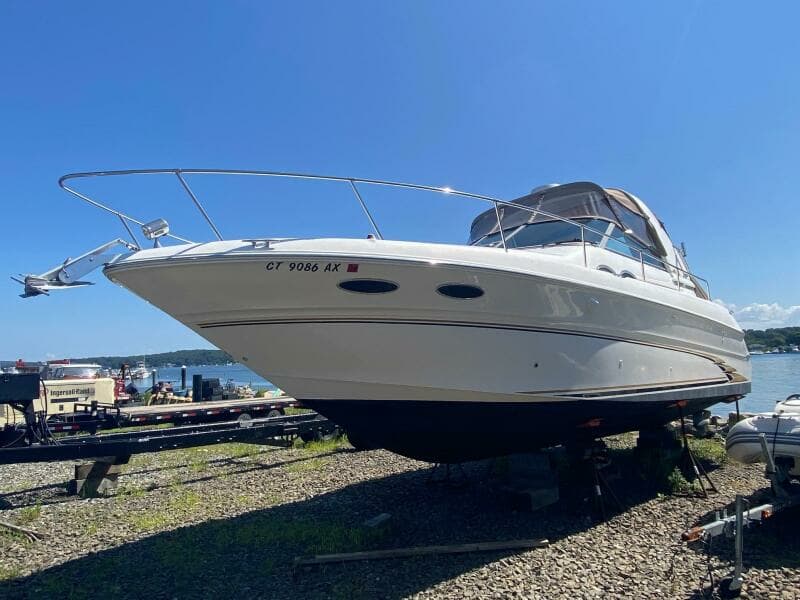 1999 Sea Ray 
