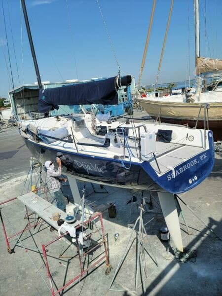 Deja Vu New Bottom 2021