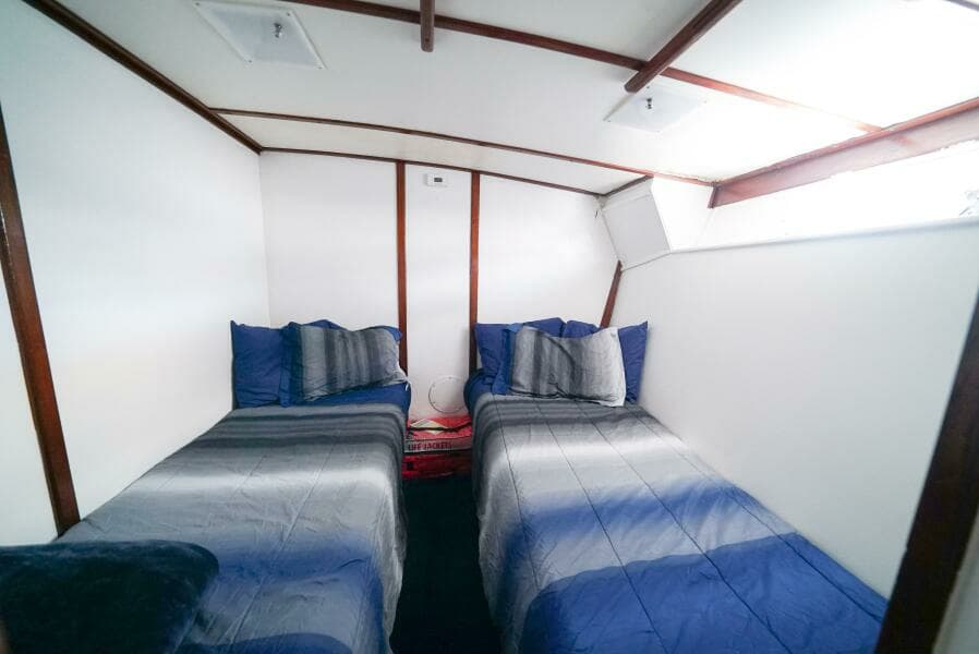 1979 Trojan 45 Convertible Hook'em