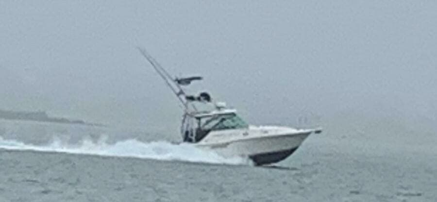 2000 Pursuit 3000 Express