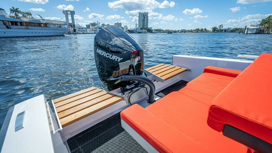 2021 Goldfish 23 Tender