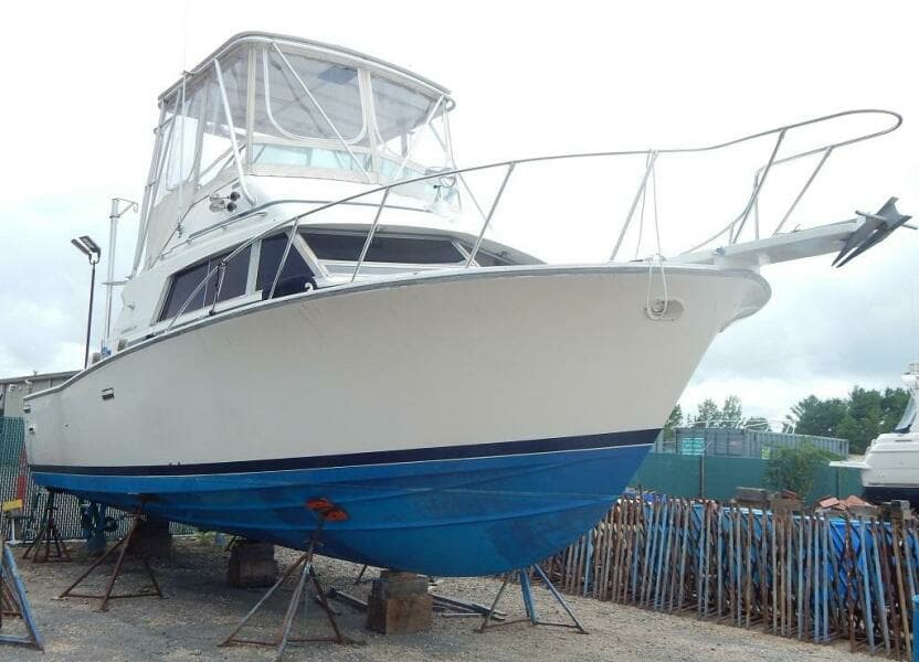 1981 Bertram Sport Fisherman