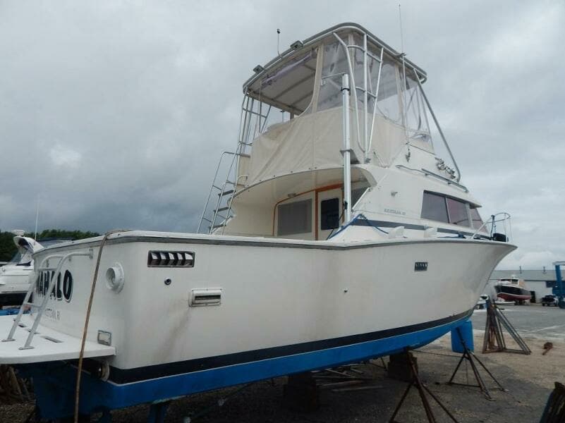 1981 Bertram Sport Fisherman