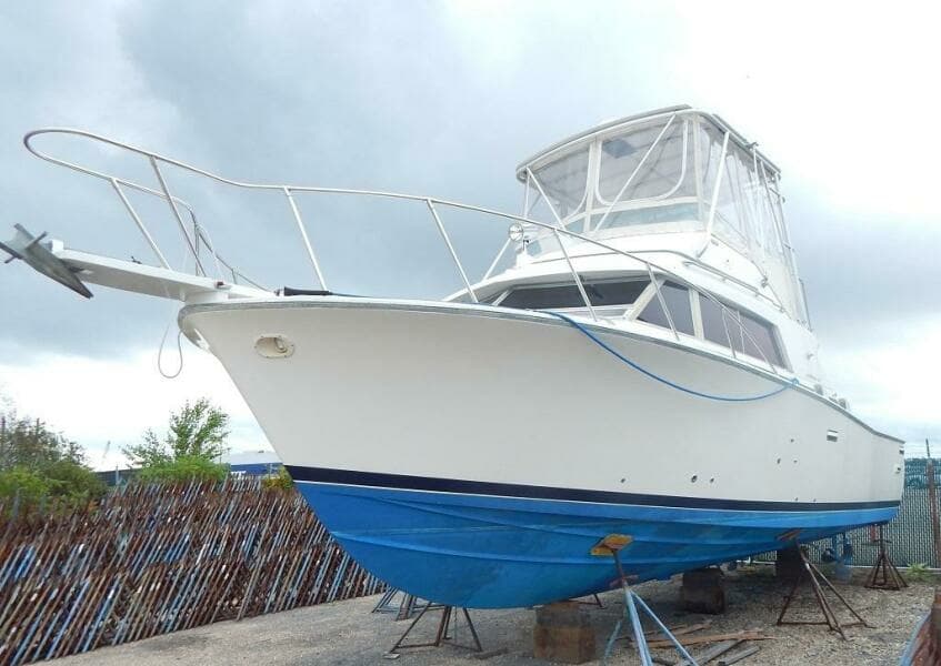 1981 Bertram Sport Fisherman
