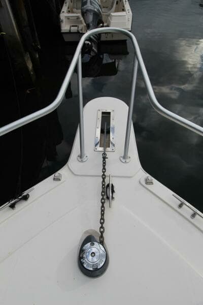 Albemarle 32 Express Bow