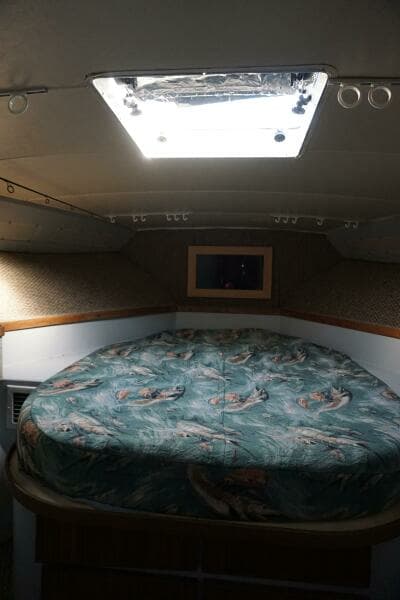 1987 37 Bertram 37 Convertible RIDGEBACK Fwd Stateroom  (4)