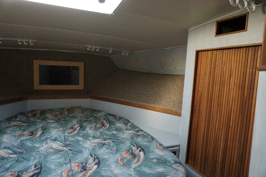 1987 37 Bertram 37 Convertible RIDGEBACK Fwd Stateroom  (3)