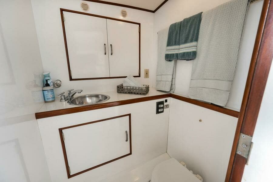 Knowles Express Big Mama - Head