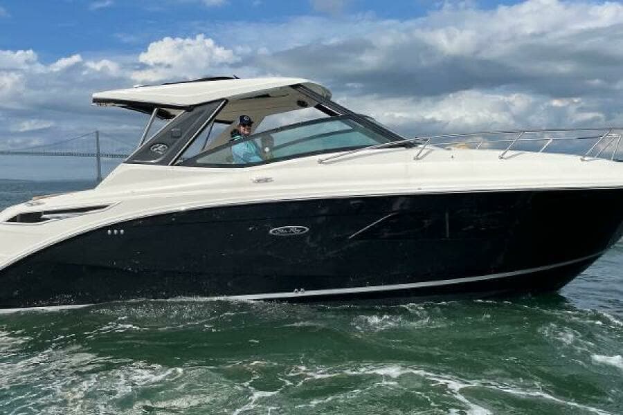 2019 Sea Ray 320 Sundancer