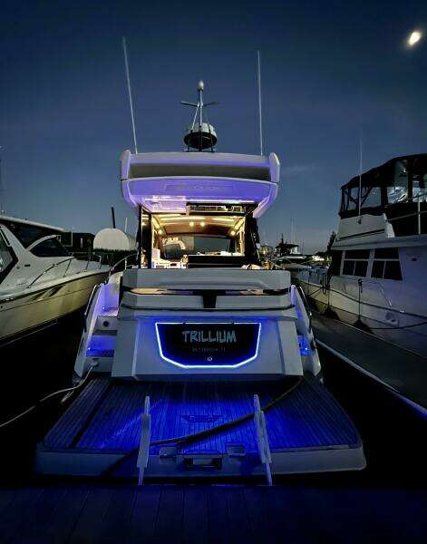 Stern_portrait_night