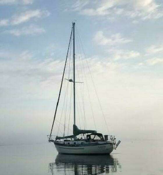 1982 Young Sun Cutter