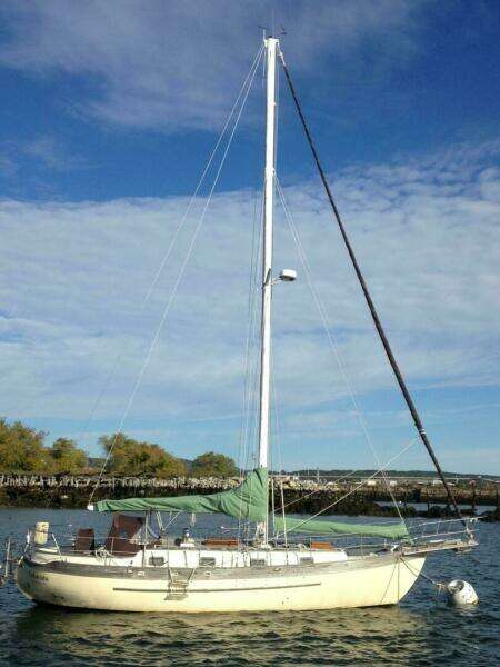 1982 Young Sun Cutter