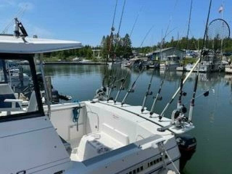 1993 Bayliner 2452 Ciara Classic