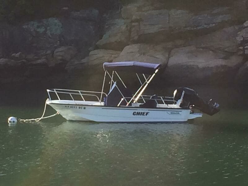 2008 Boston Whaler 170 Montauk