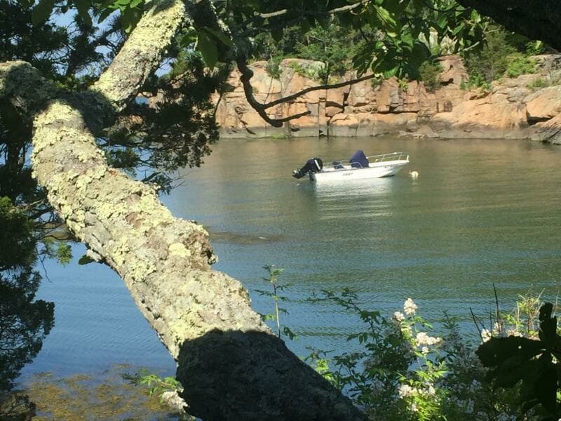 2008 Boston Whaler 170 Montauk