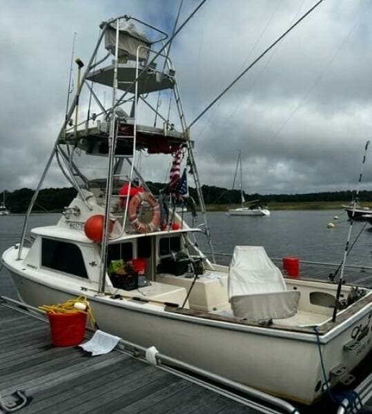 LITTLE EVA_Dockside Port