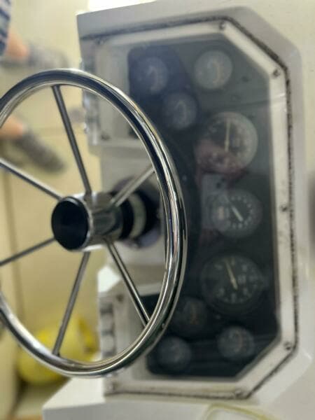 Steering wheel and gauges