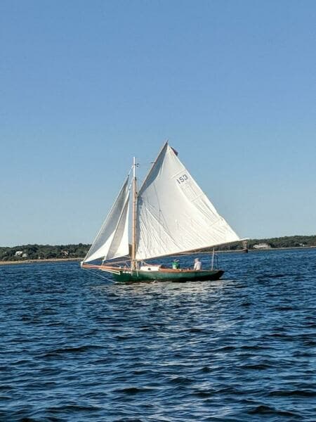 Senility U_sail with 2 headsails