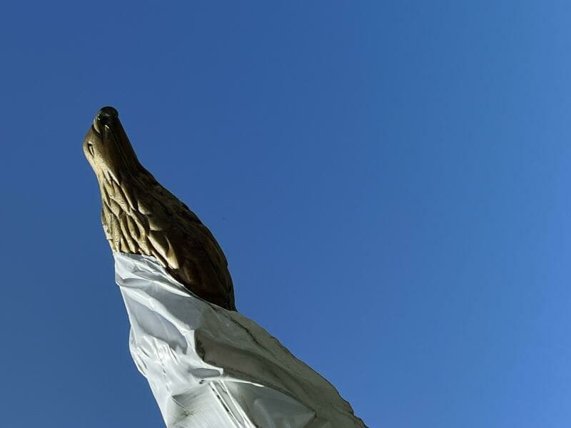 30' Independence Eagle