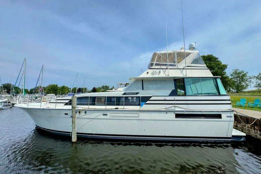 1986 Bertram 58 Flybridge Motor Yacht