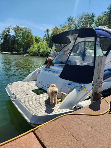 2008 Crownline 340 Cruiser