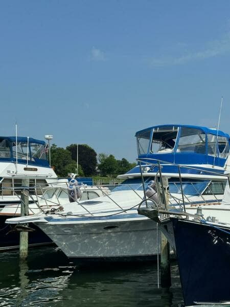 1988 Wellcraft San Remo