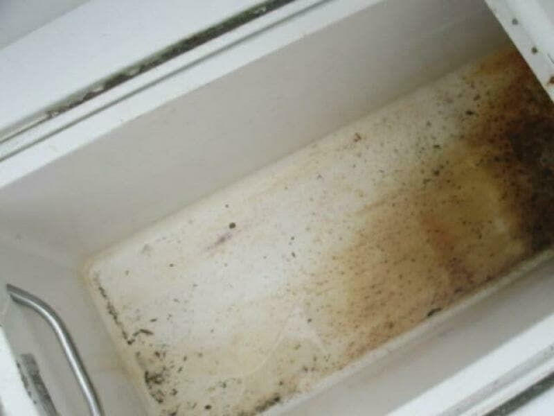 1997 Egg Harbor Golden Egg 35