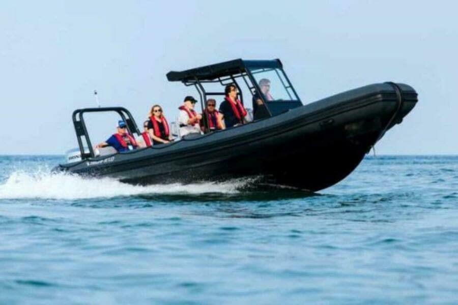 2024 Highfield Patrol 860