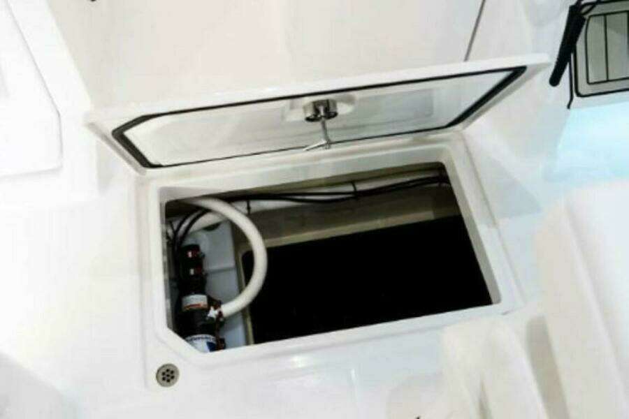 2025 Edgewater 262CX