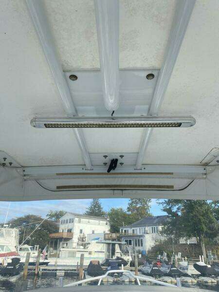 1999 Bayliner 2052 Trophy