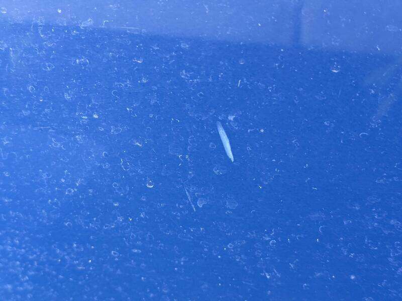 2006 Regal 3360 Window Express