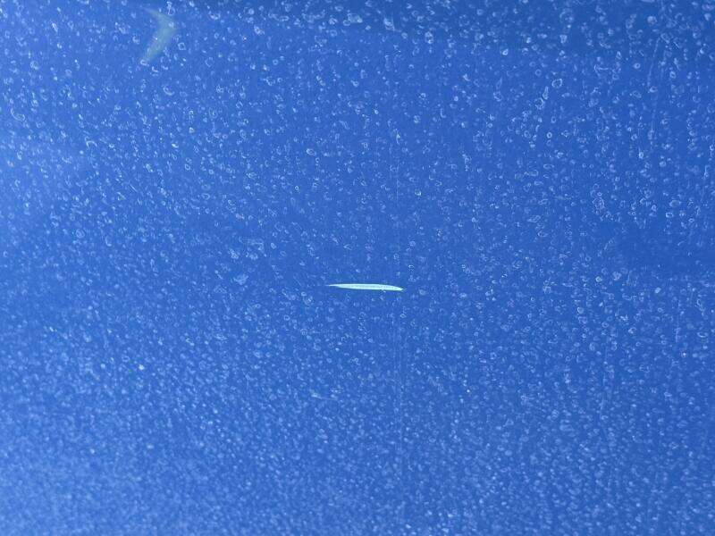 2006 Regal 3360 Window Express