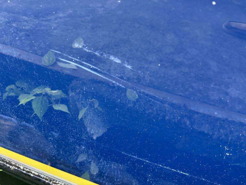 2006 Regal 3360 Window Express