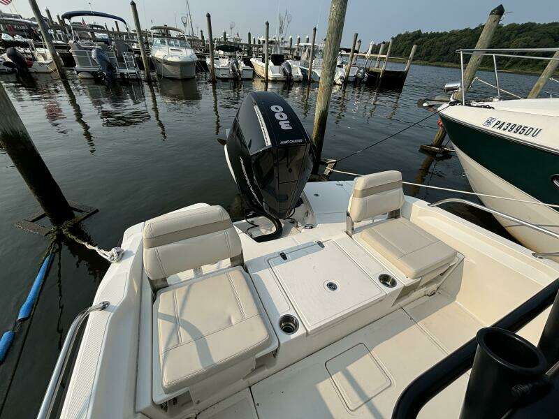 2023 Boston Whaler 250 Dauntless