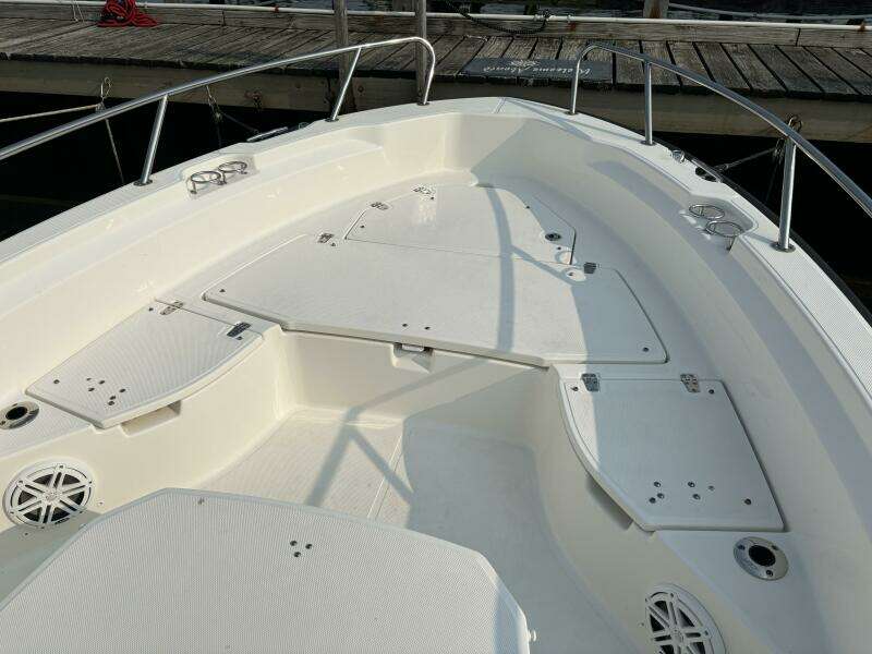 2023 Boston Whaler 250 Dauntless