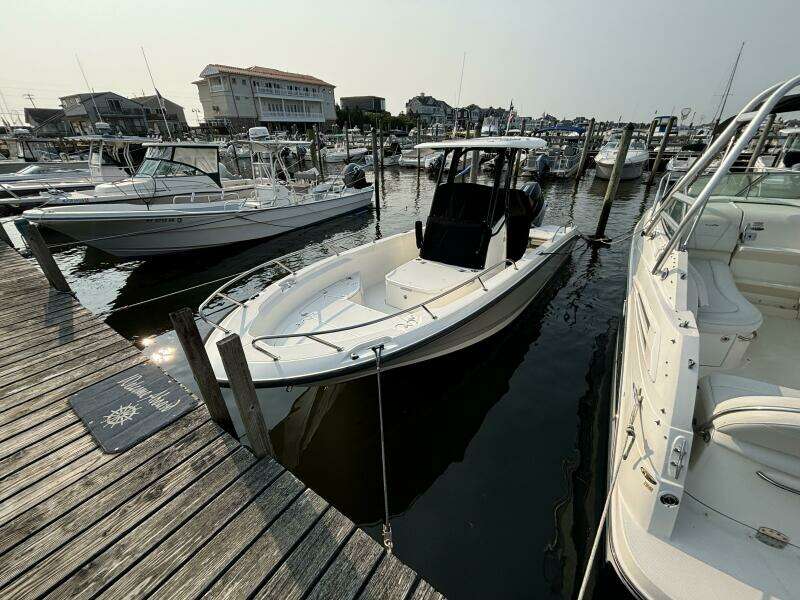 2023 Boston Whaler 250 Dauntless