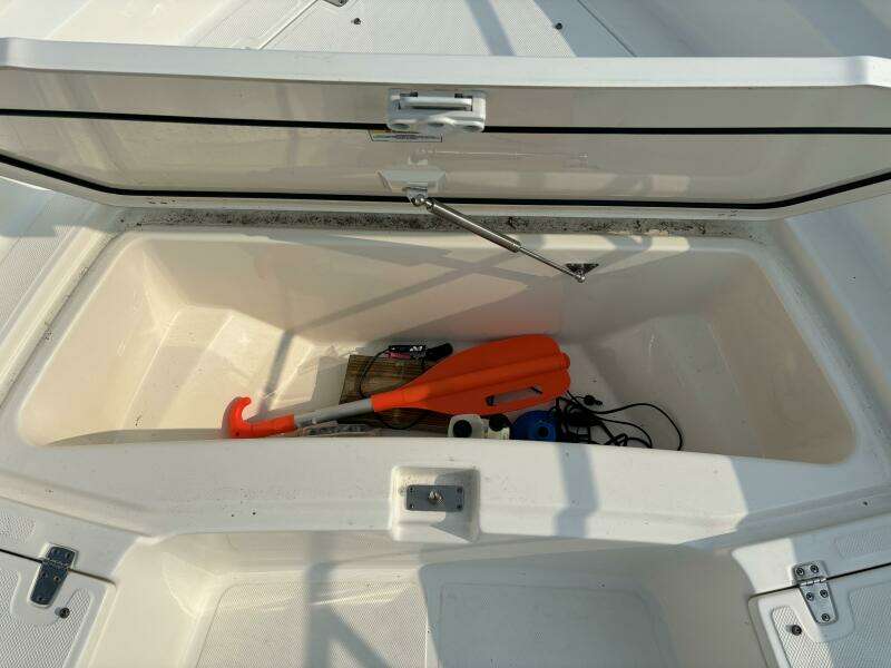 2023 Boston Whaler 250 Dauntless