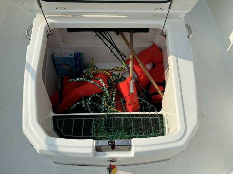 2023 Boston Whaler 250 Dauntless