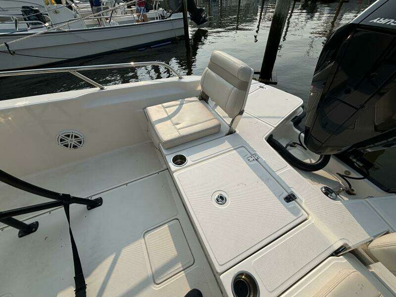 2023 Boston Whaler 250 Dauntless