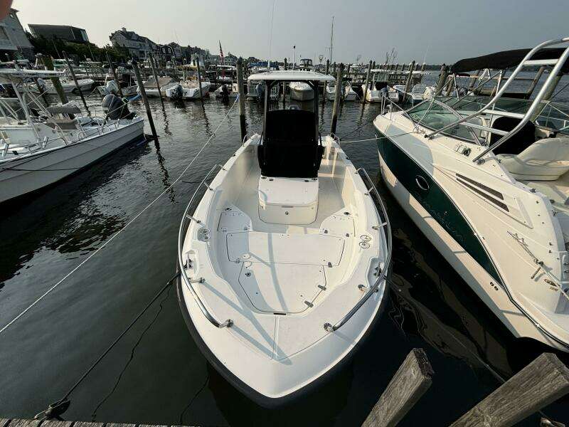 2023 Boston Whaler 250 Dauntless