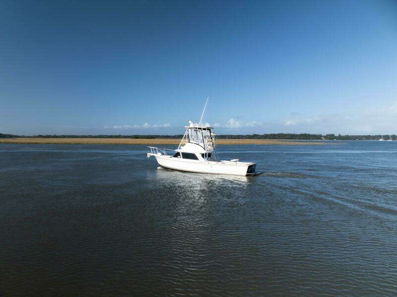 Bertram 31 Viajero- Profile