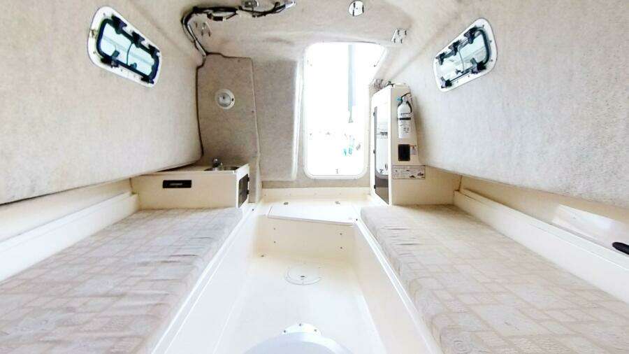 2005 Shamrock 246 Adventure