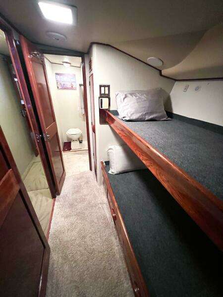 1987 Buddy Davis 61 Convertible