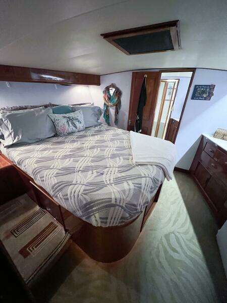 1987 Buddy Davis 61 Convertible