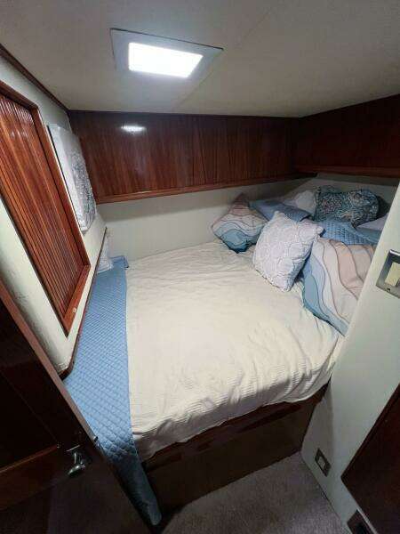 1987 Buddy Davis 61 Convertible