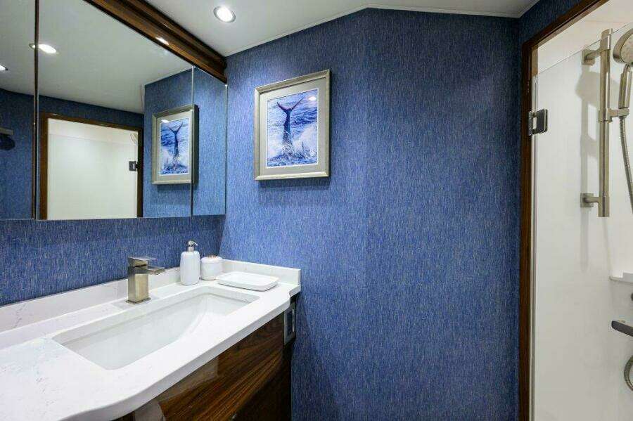 Viking 68 Twin Reels - VIP Head