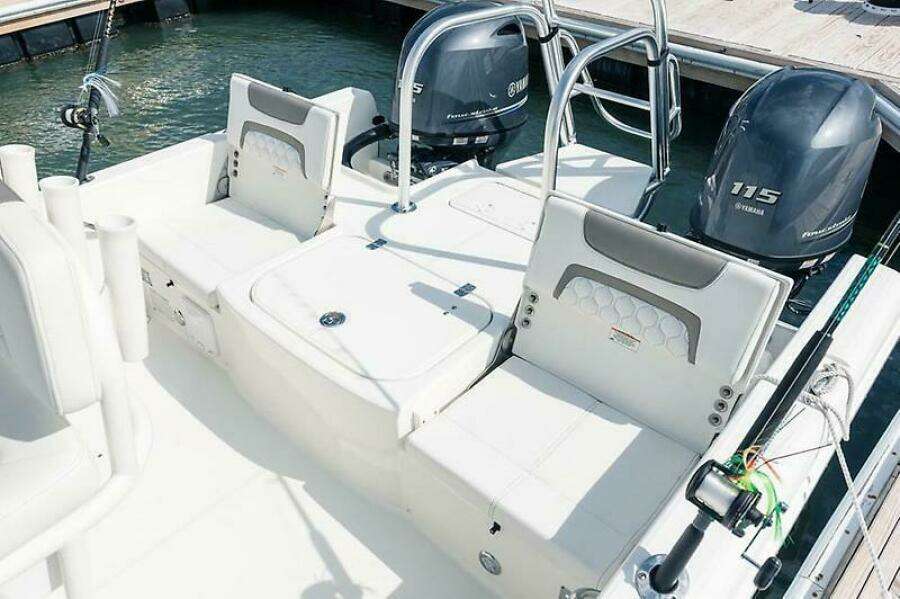 2019 World Cat 230 CC