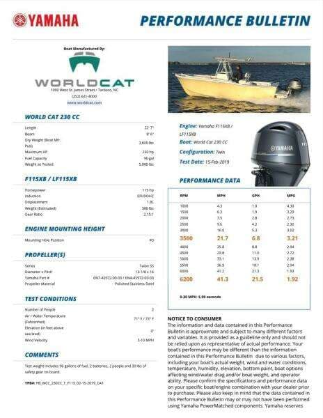 2019 World Cat 230 CC