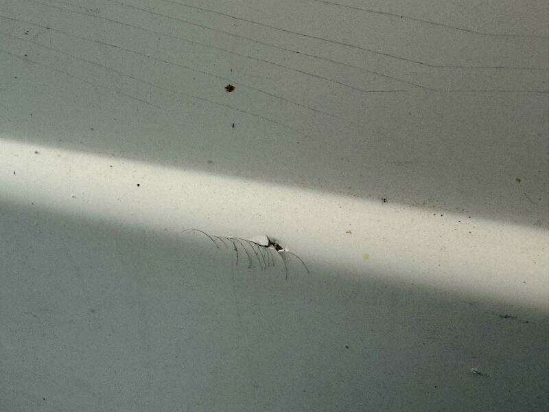 2004 Rinker 342 Fiesta Vee